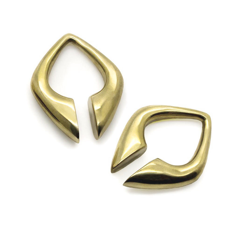 Brass on sale ear weights